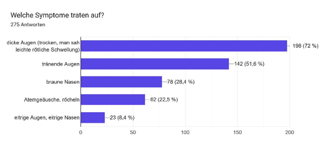 Grafik 5